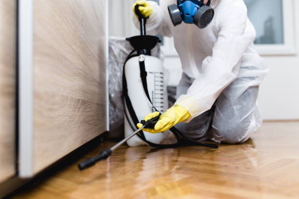 Best Local Pest Control Services  in Fairview, MT