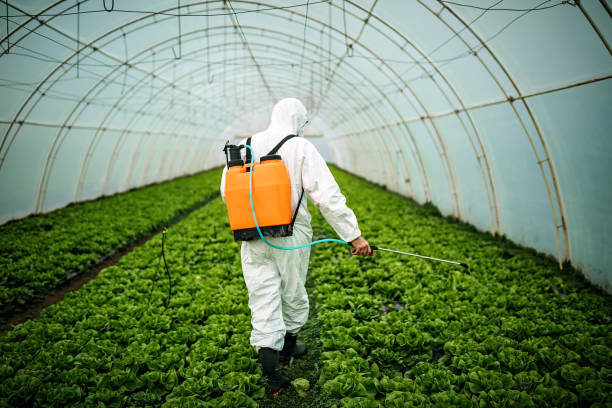 Best Emergency Pest Control  in Fairview, MT