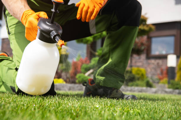 Best Commercial Pest Control Services  in Fairview, MT