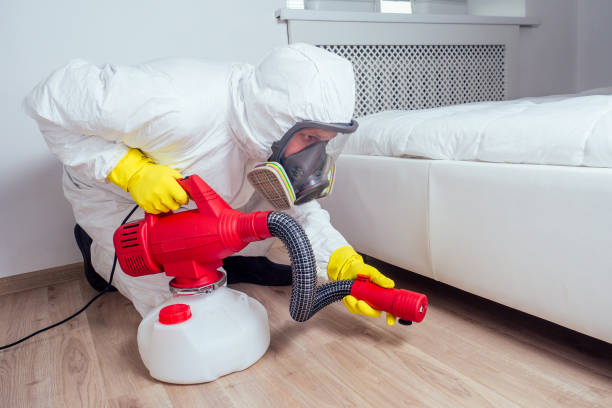 Best Pest Removal Services  in Fairview, MT