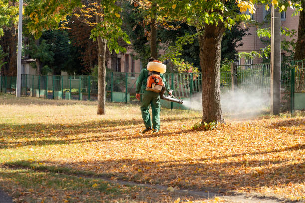 Best Wildlife Control Services  in Fairview, MT