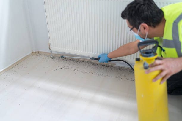 Best Pest Inspection Near Me  in Fairview, MT